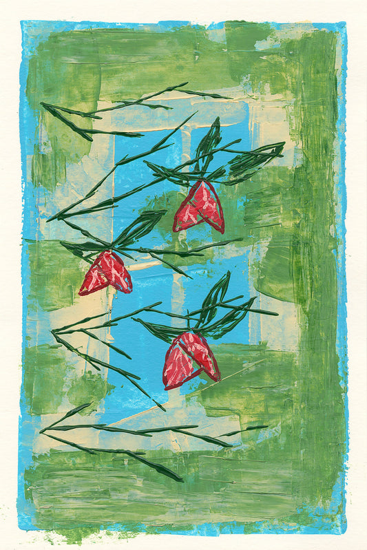 Flowering Maple by the Window by Love Katie Darling